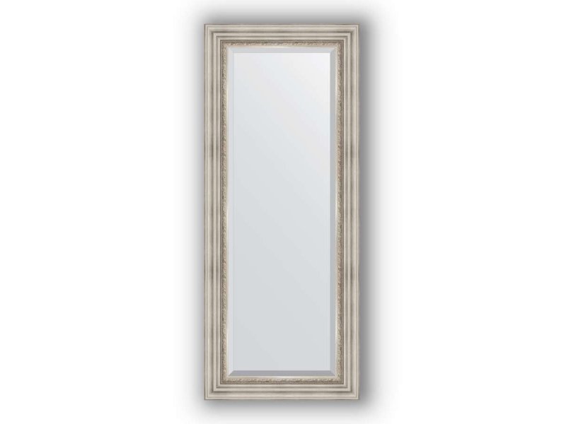 Купить Зеркало в багетной раме Evoform Exclusive BY 1257 56 x 136 см, римское серебро