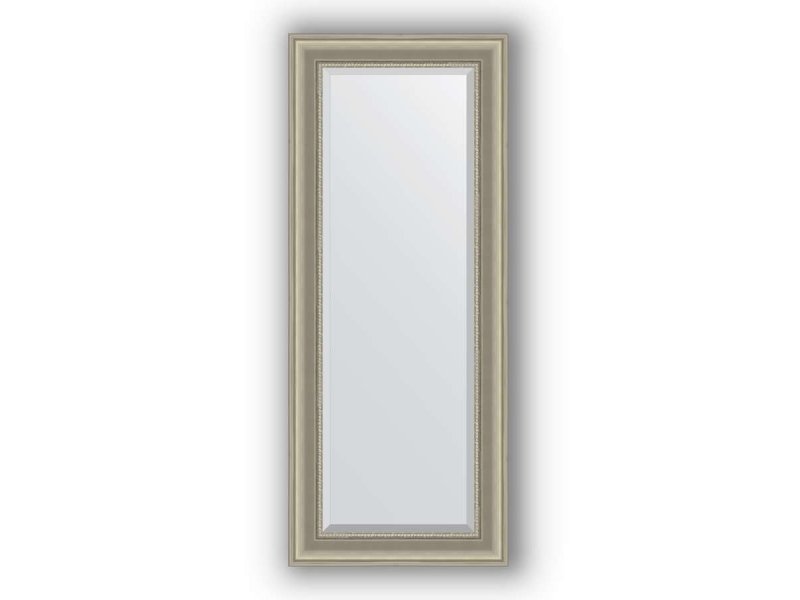 Купить Зеркало в багетной раме Evoform Exclusive BY 1255 56 x 136 см, хамелеон