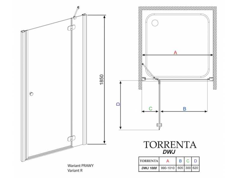 Купить Душевая дверь в нишу Radaway Torrenta DWJ 100 прозрачное стекло R