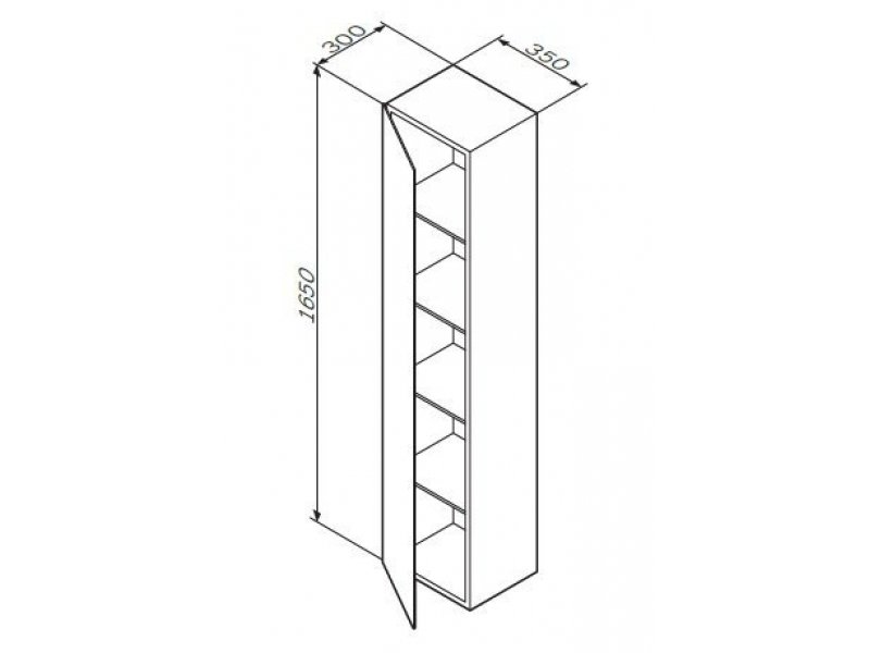 Купить Шкаф-колонна Am.Pm Spirit 2.0 M70ACHML0356WG подвесной, левый, 35 см, зеркальный фасад, белый глянец