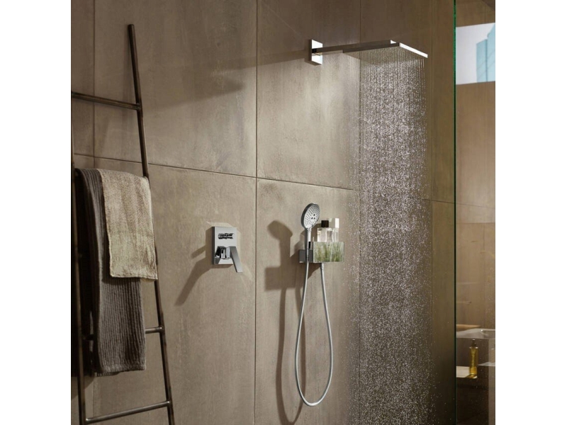 Купить Ручной душ Hansgrohe Raindance Select S 120 3jet хром 26530000