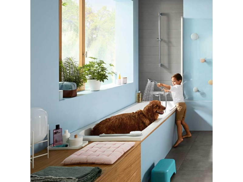 Купить Термостат для ванны Hansgrohe Ecostat E 15774000