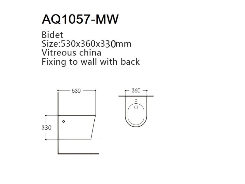 Купить AQ1057-MW ВЕГА Биде подвесное 530*360*330, цвет белый матовый