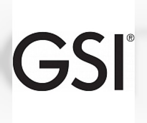 GSI