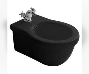 Биде Galassia Ethos 8440MNE подвесное