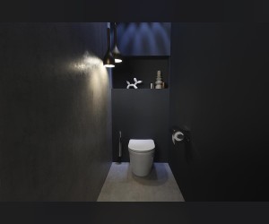 Приставной унитаз Jacob Delafon Rodin+, EDAA102-00