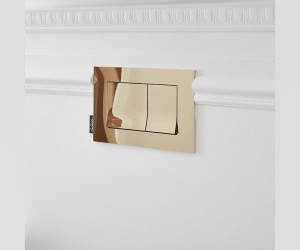 Клавиша смыва Jacob Delafon E20858-BGG, золото, глянец