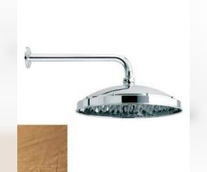 Лейка настенная Bossini RETRO ANTIKAL ( Ретро Антикат ) H18703.022, бронза