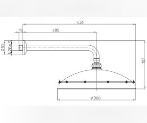 Лейка настенная Bossini RETRO ANTIKAL ( Ретро Антикат ) H18703.022, бронза