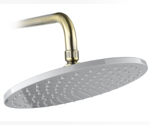 Верхний душ Timo, цвет античная бронза, диск серый, SW-2060 (T) antique