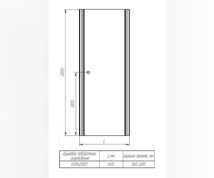 Душевая дверь в нишу Радомир 60 см