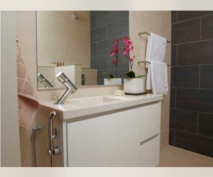 Смеситель Oras Alessi 8502F для раковины с гигиеническим душем