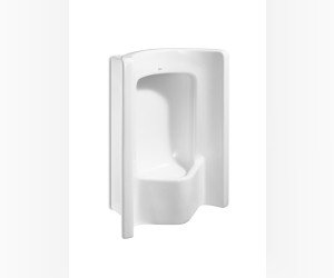 Писсуар Roca Site 359605000 49 x 26 x 70 см с задним подводом воды, белый